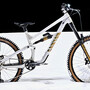 Torque AL gold FB